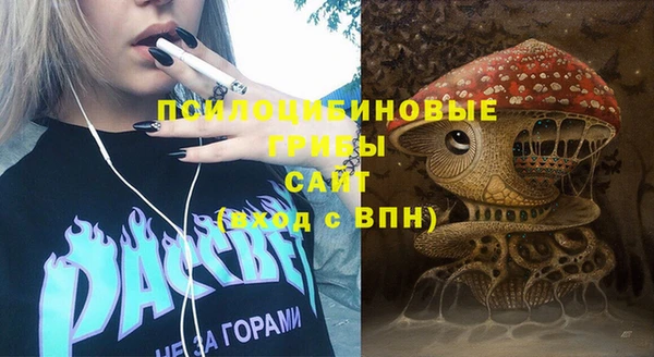 дурь Алзамай