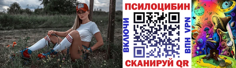 Псилоцибиновые грибы мицелий  Тайшет 