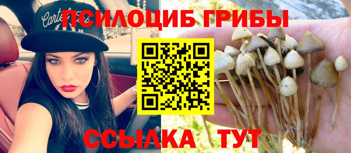 Псилоцибиновые грибы Magic Shrooms  Вход с VPN  Тайшет  Псилоцибиновые грибы мухоморы 